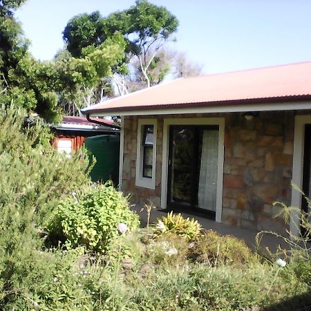 Forest Cove Cottage Knysna Exterior foto