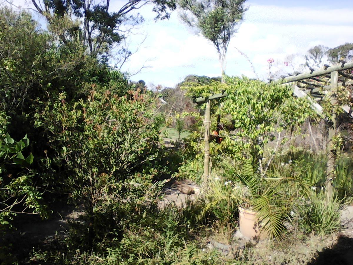 Forest Cove Cottage Knysna Exterior foto
